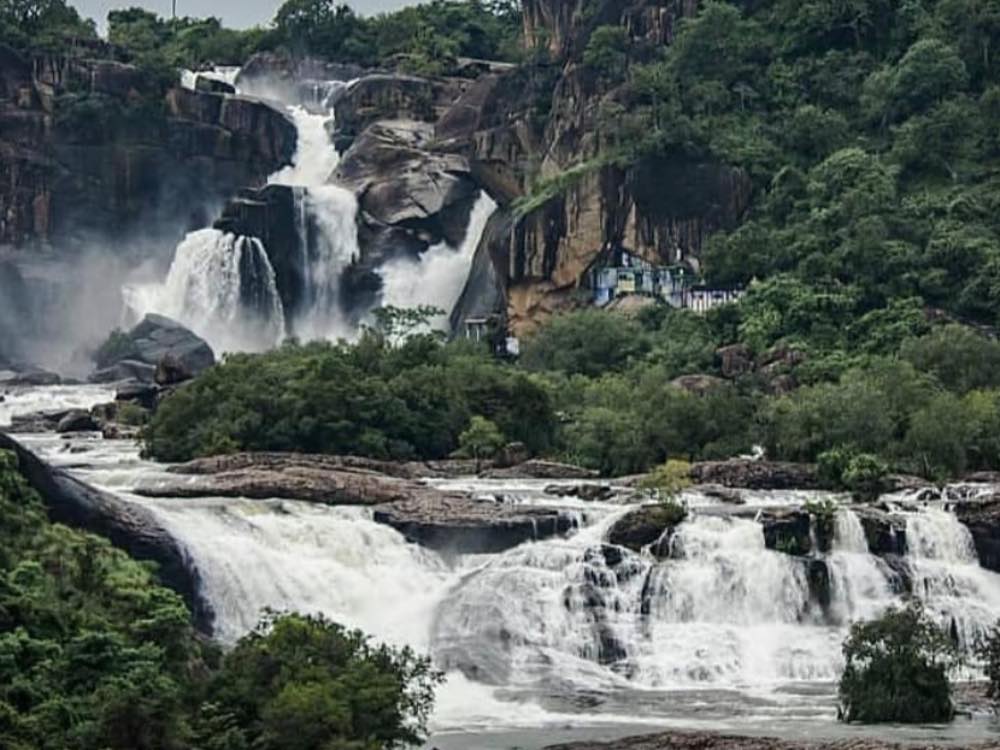 Agasthiyar Falls in Tirunelveli