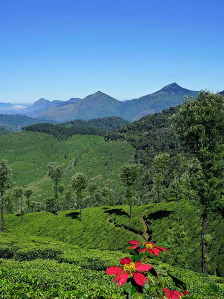 Akkamalai Estate in Coimbatore