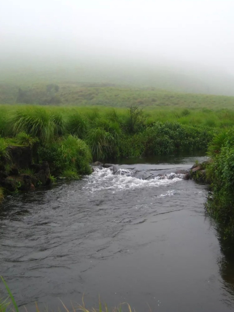 Akkamalai Grass Hills in Coimbatore