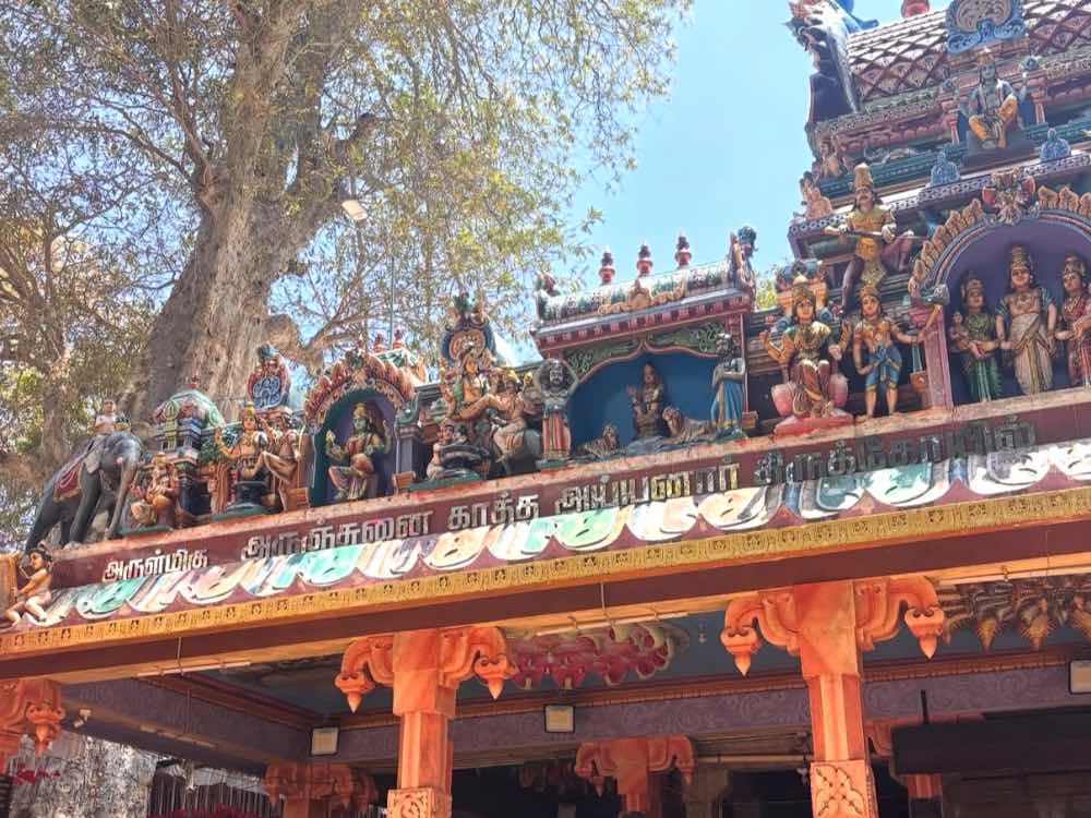 Arulmigu Sri Arunjunai Kattha Ayyanar Temple in Thoothukudi