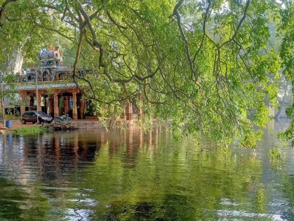 Arulmigu Sri Arunjunai Kattha Ayyanar Temple in Thoothukudi