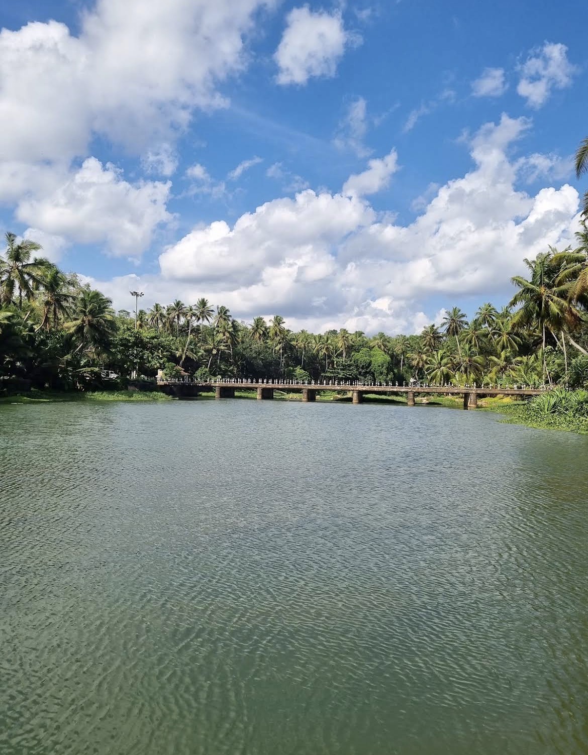 Aruvikkarai water falls in Kanyakumari