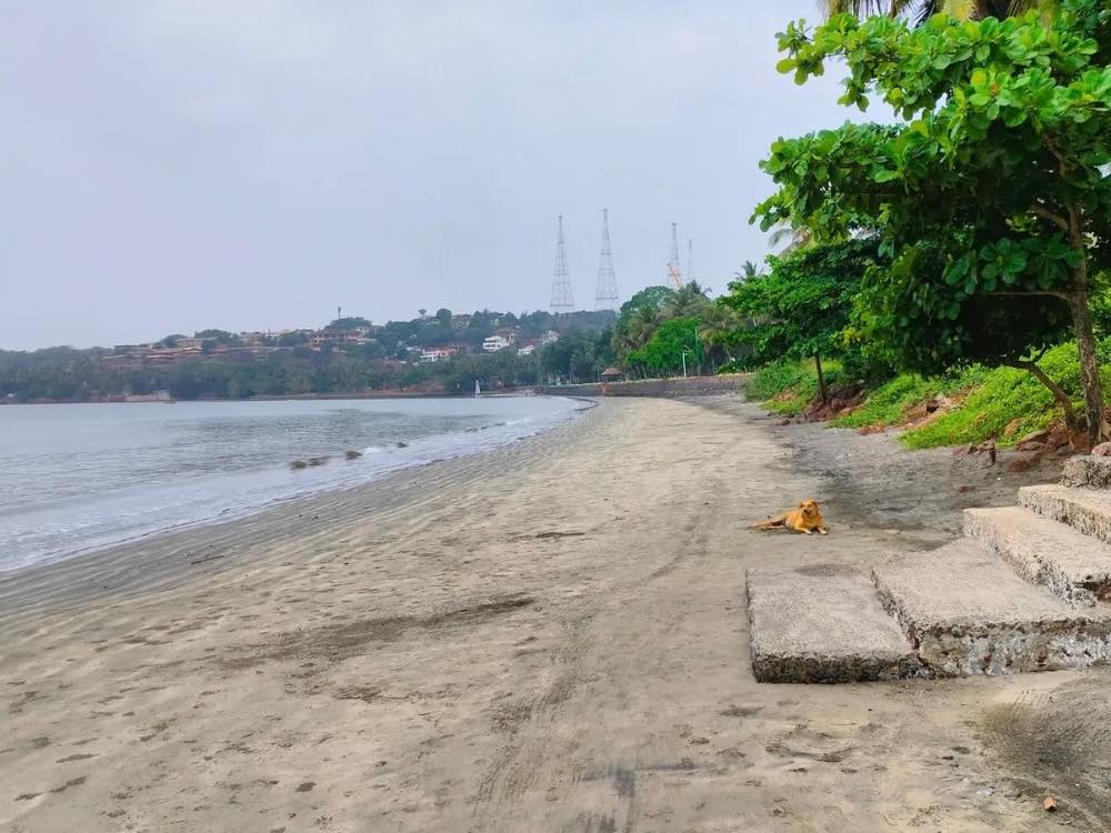 Bambolim Beach