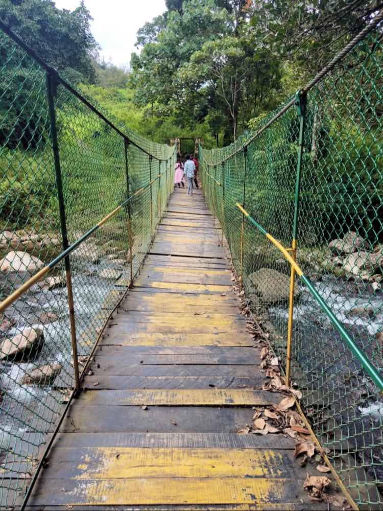 Chinna Kallar Falls in Coimbatore