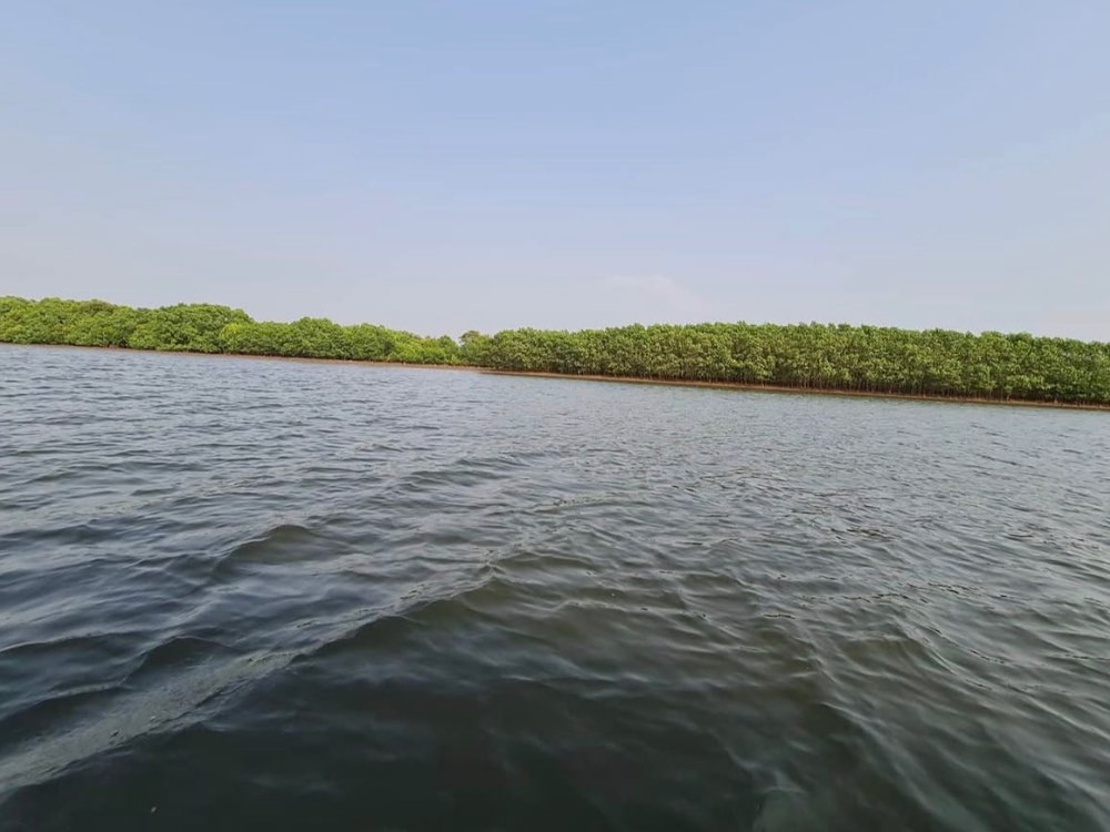 Cumbarjua Canal in Goa