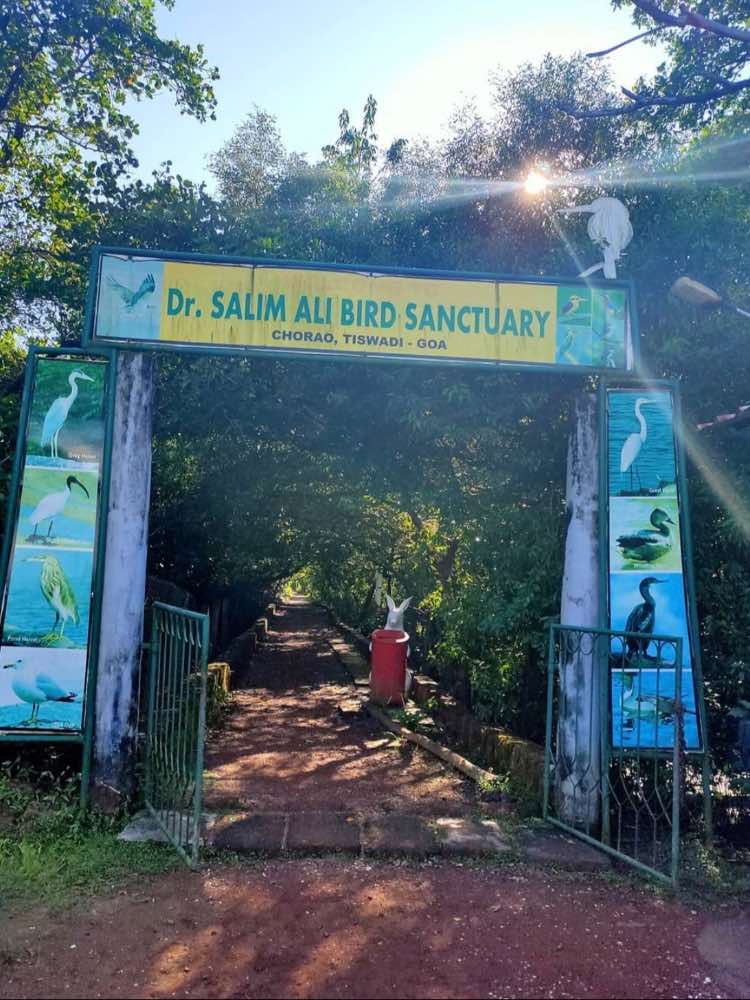 Dr. Salim Ali Bird Sanctuary in Goa