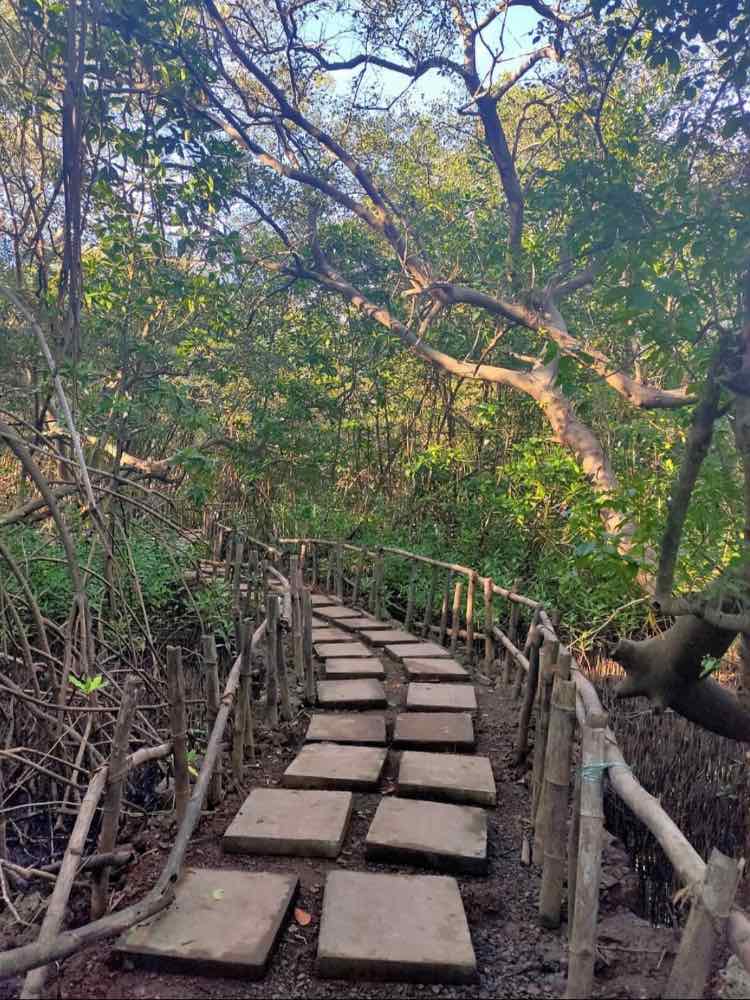 Dr. Salim Ali Bird Sanctuary in Goa