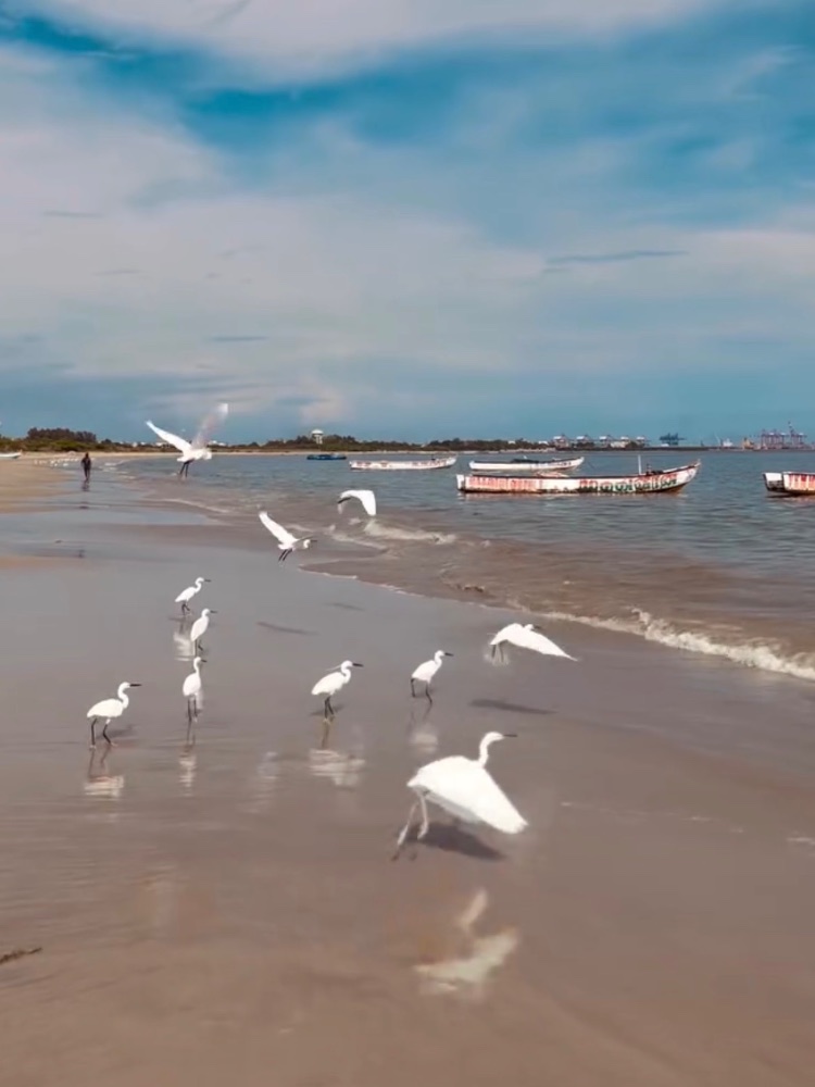 Harbour Beach in Thoothukudi