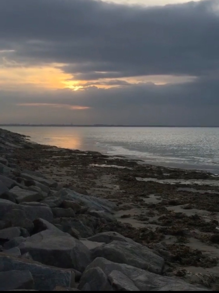 Hare Island in Thoothukudi