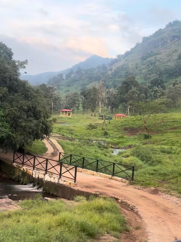 Kozhikamuthi Topslip Elephant Camp in Coimbatore