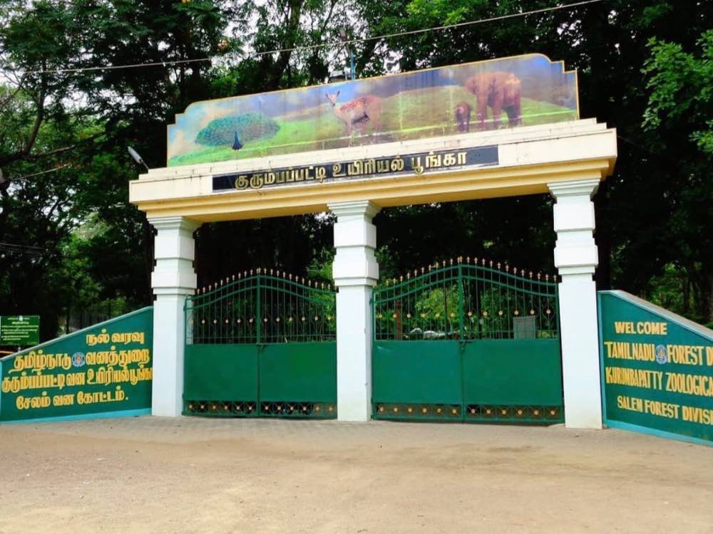 Kurumbapatti Zoological Park in Salem