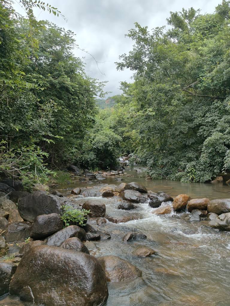Kuthara Paanjan Waterfalls in Tirunelveli