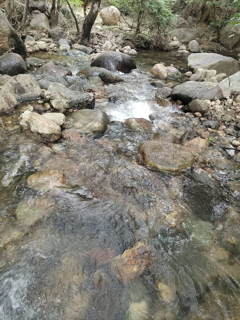 Kuthara Paanjan Waterfalls in Tirunelveli