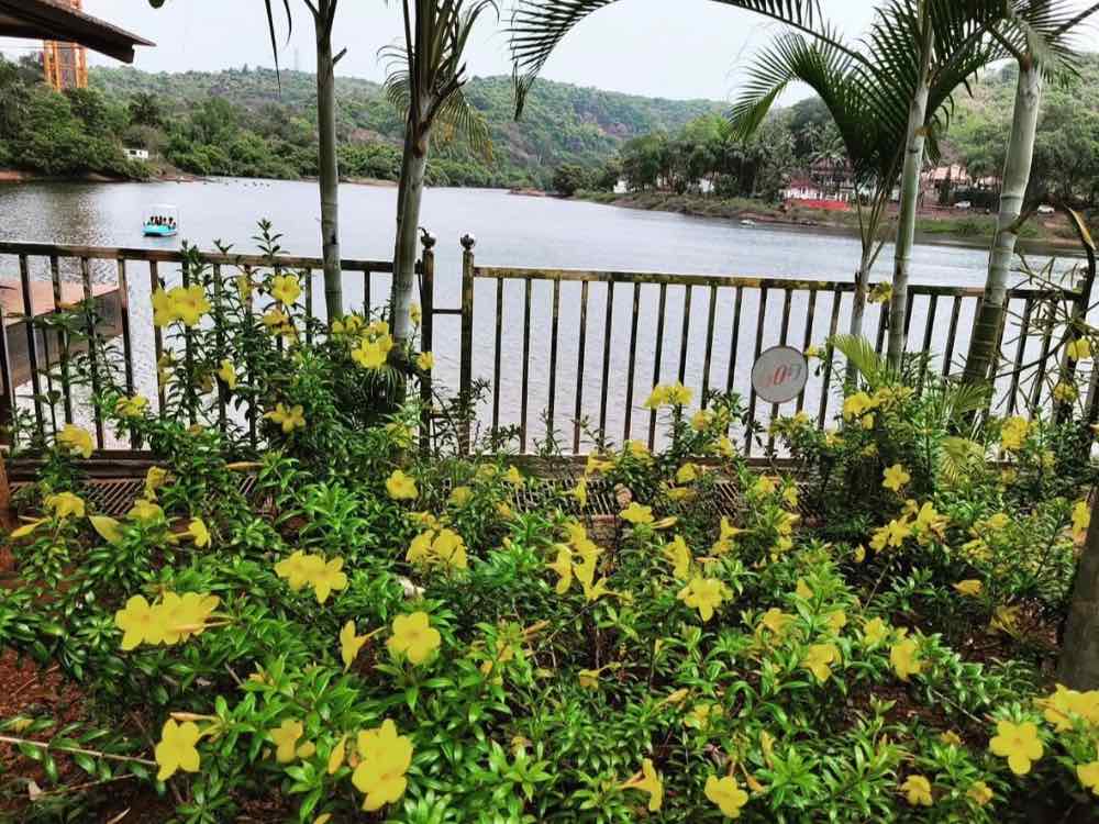 Mayem Lake in North Goa