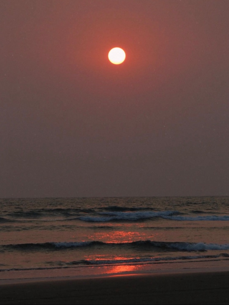 Morjim Beach (North Creek Section) in Goa