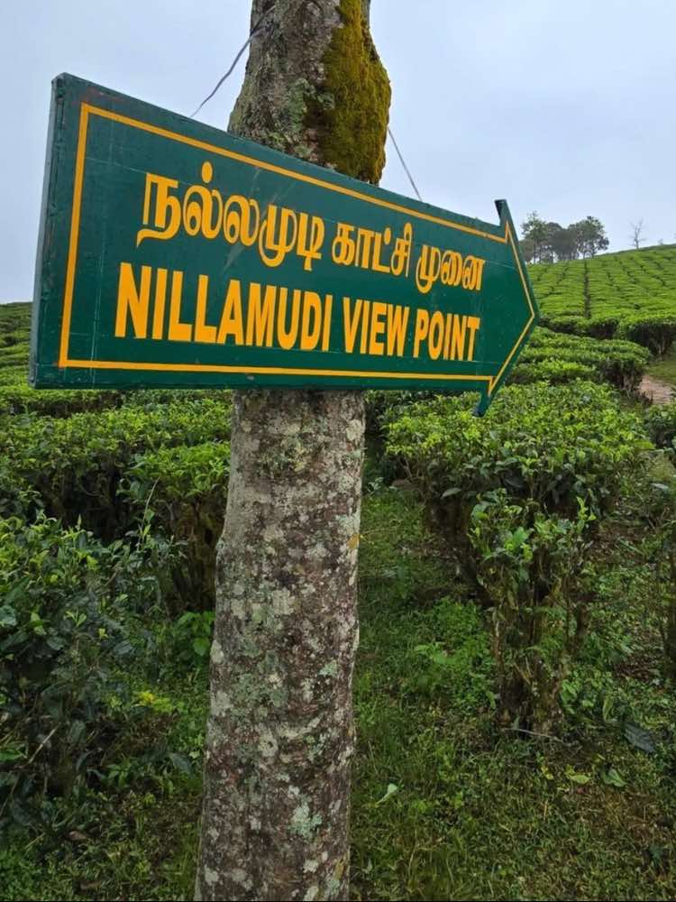 Nallamudi Poonjolai in Coimbatore