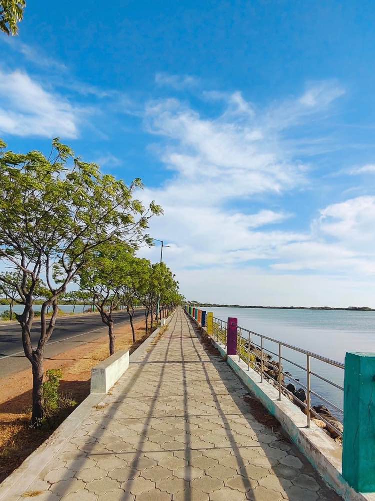 Roche Park in Thoothukudi