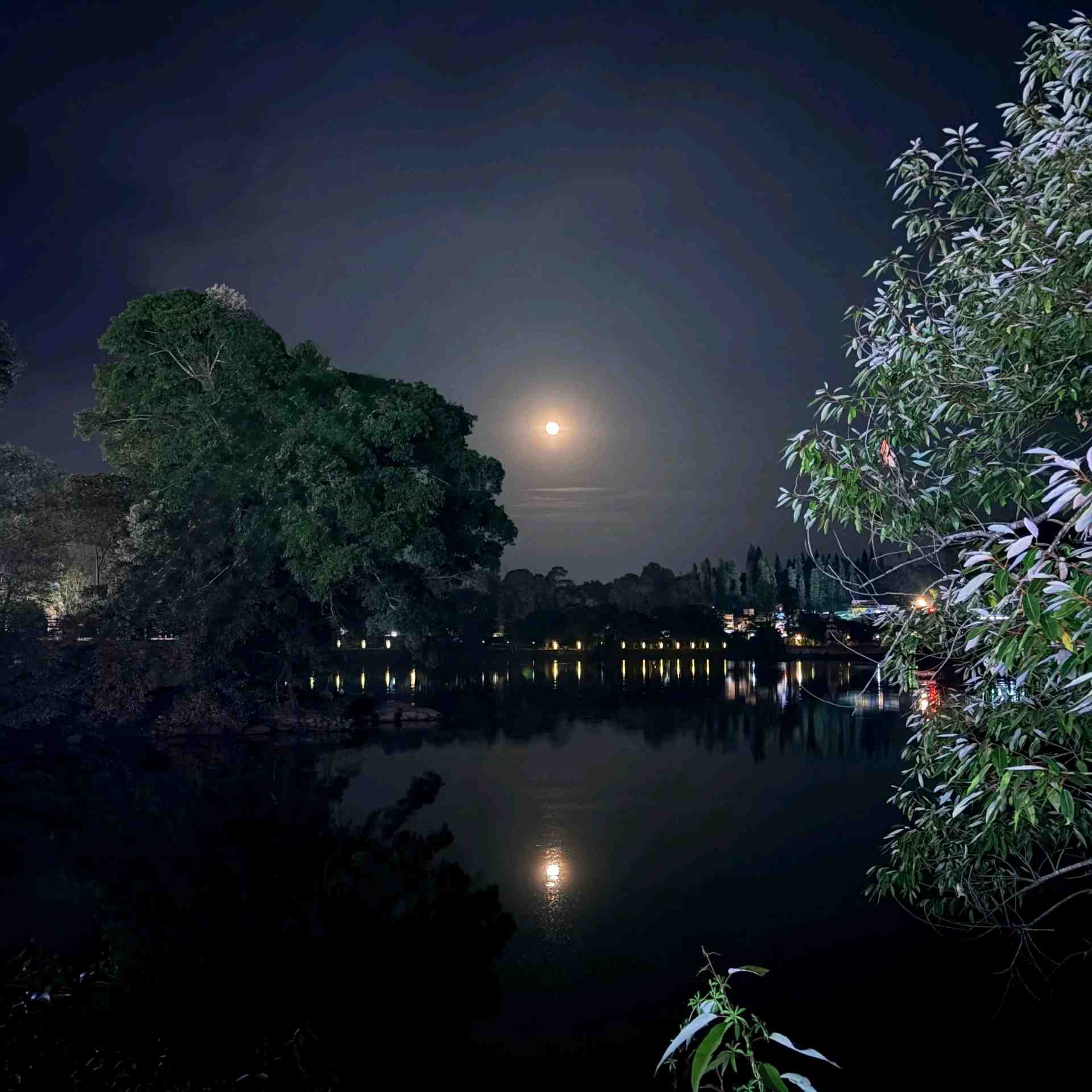 Yercaud lake in Salem